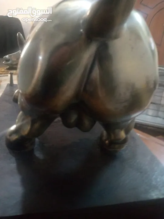 منظر ثور للبيع