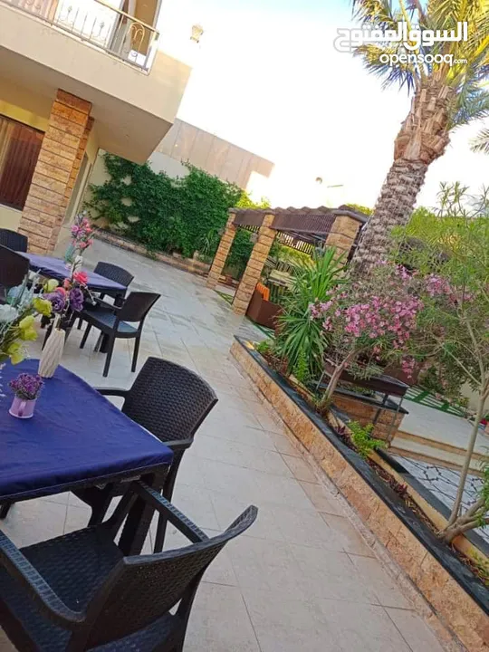 مزارع وشاليهات ست الحبايب رجعتلكم بعرض عيد الاضحى