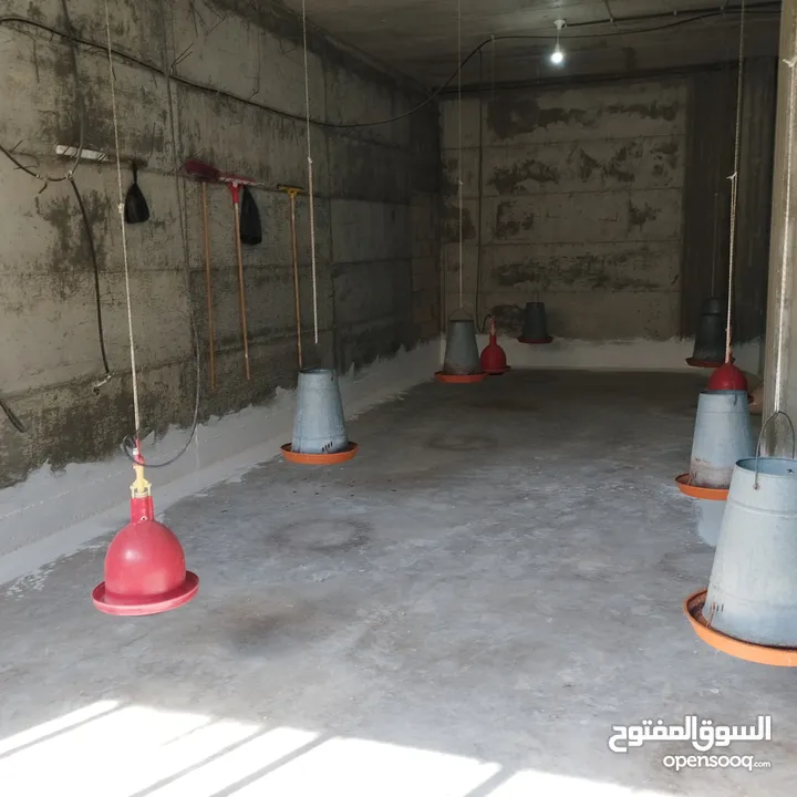 محلات للايجار