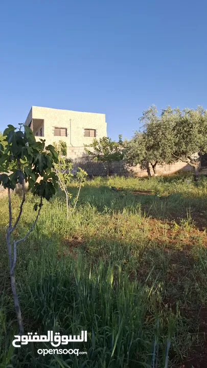 مزرعة وشاليه في جرش