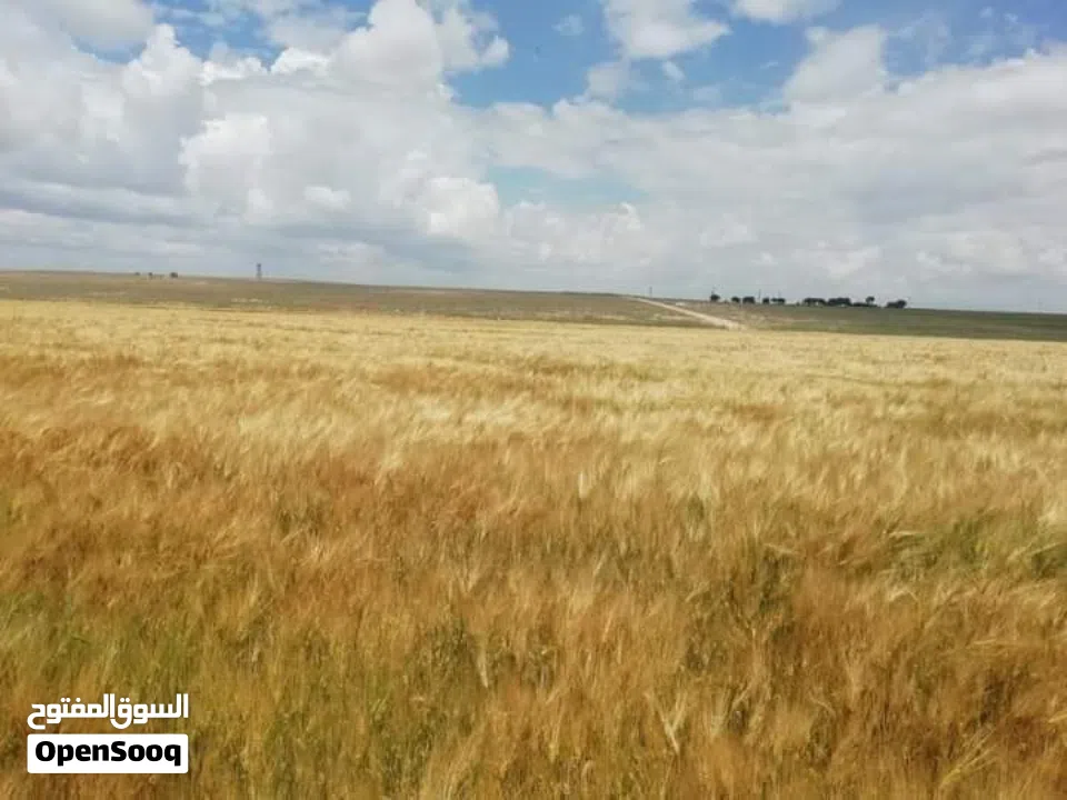 نِيغده – بور (Niğde – Bor) من أجمل وأخصب المناطق الزراعية في تركيا للبيع 10 ألف دونم ارض زراعية