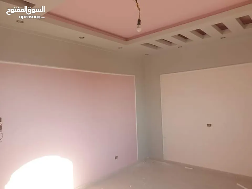 دهين مصري محترف بخبره كبيره في مجال الدهان و الديكورات وتركيب ورق الجدران وبديل الخشب وبديل الرخام ؟