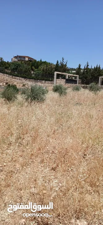 قطعة أرض للبيع من المالك مباشرة بسعر خيالي ناعور / ابو الغزلان مساحة 20دونم