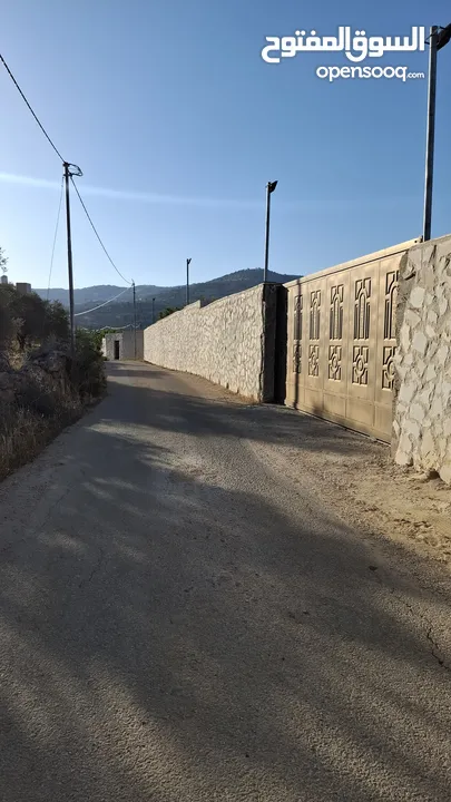 مزرعة وشاليه في جرش
