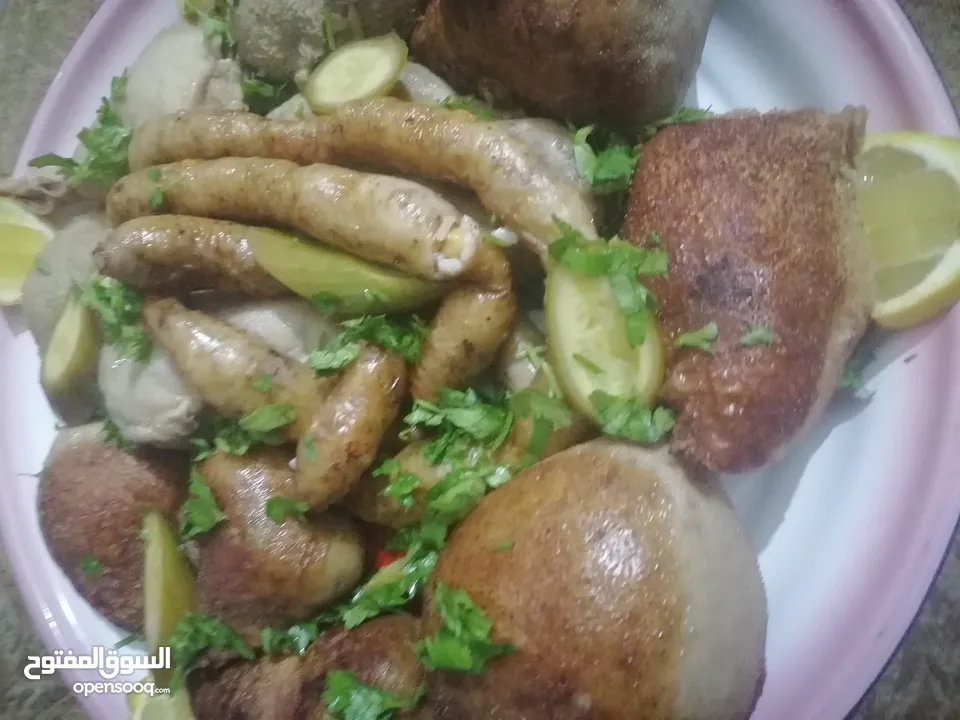 طعام جاهز بيتي