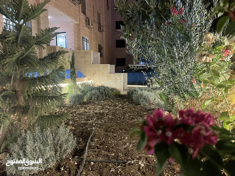 شقه بمدخل مستقل فاخره ومميزه  طابق ارضي مجمع عمان جديد