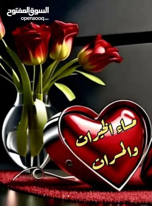 شقة للبيع ضاحية الياسمين