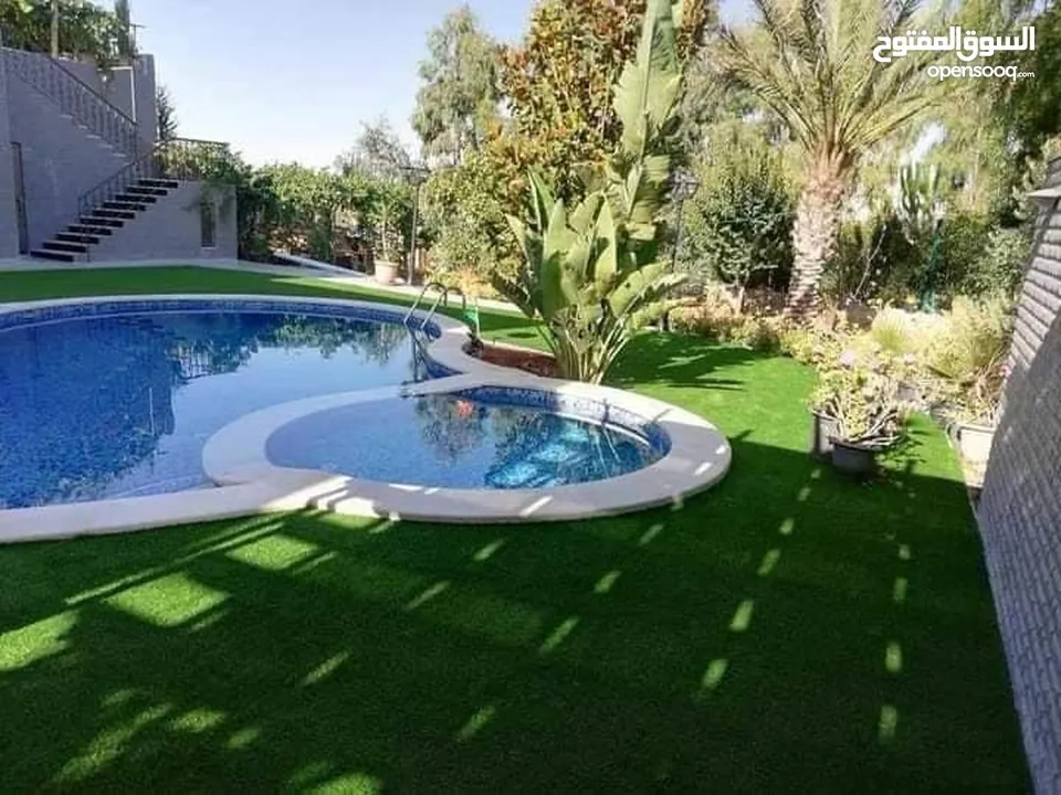 عشب ونجيل صناعي  باقل الاسعار واعلى المواصفات  بلجيكي  فيتنامي  صيني  اردني  اماراتي  خامات والوان