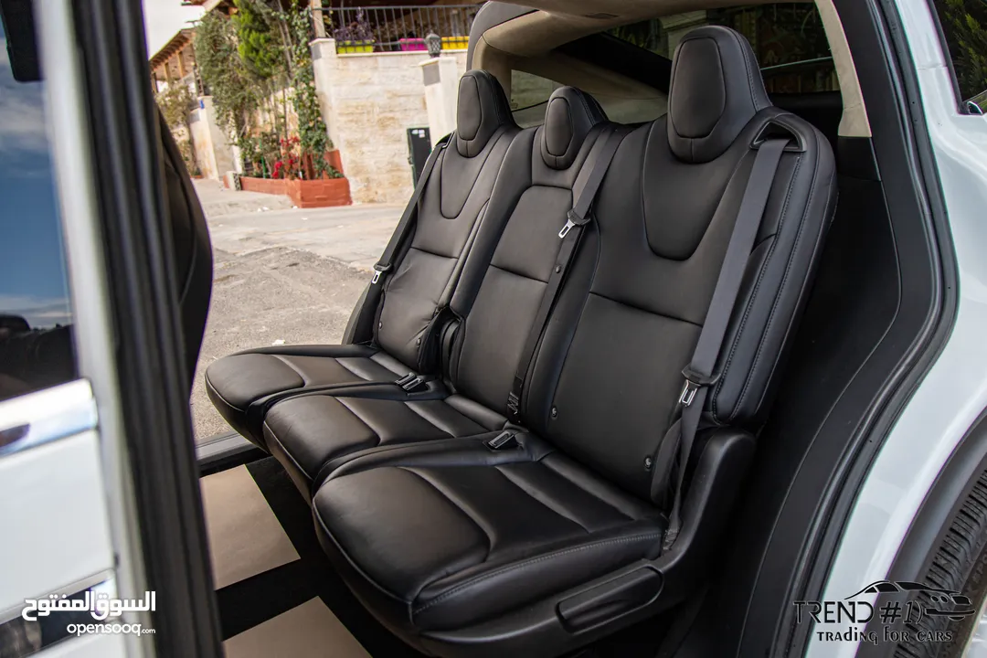 Tesla Model X 100D  2018