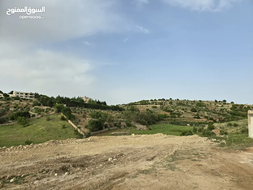 غرب سوف سهلات الغربيه قرب قصر السفير الاماراتي منطقه فلل و مزارع راقيه