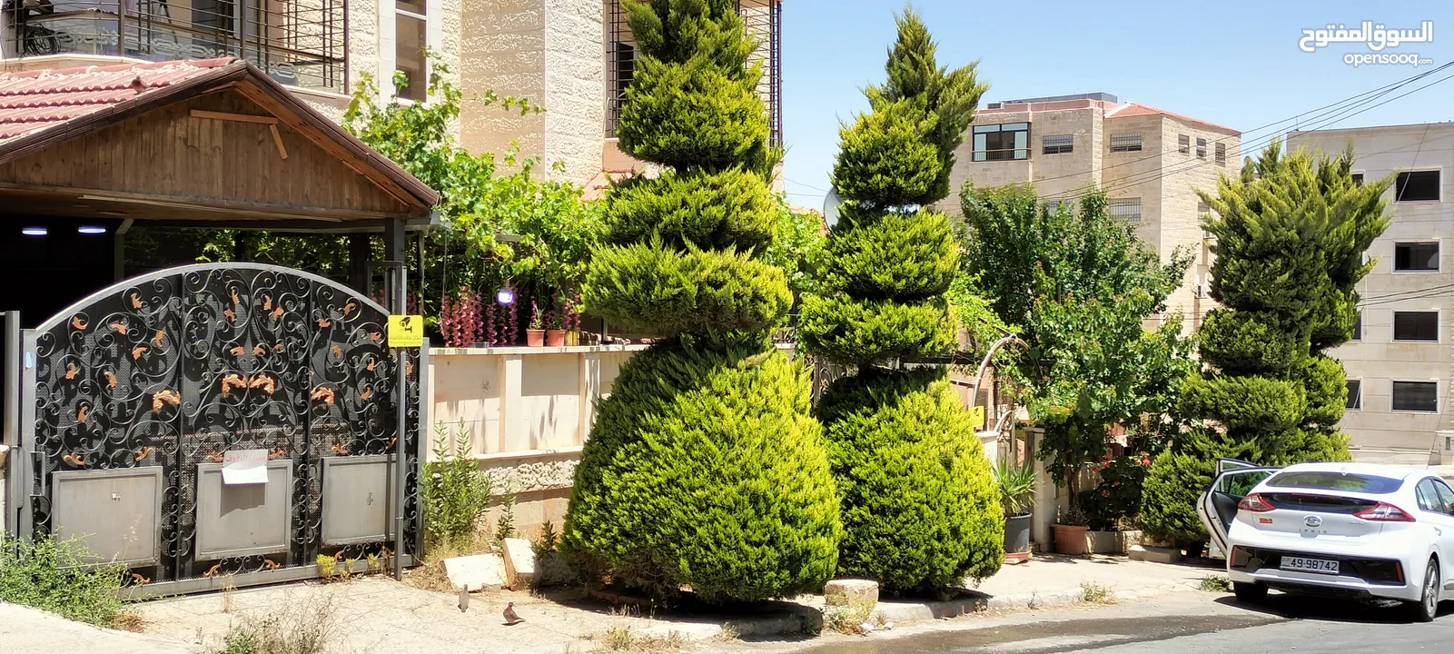 شقه ارضيه للبيع