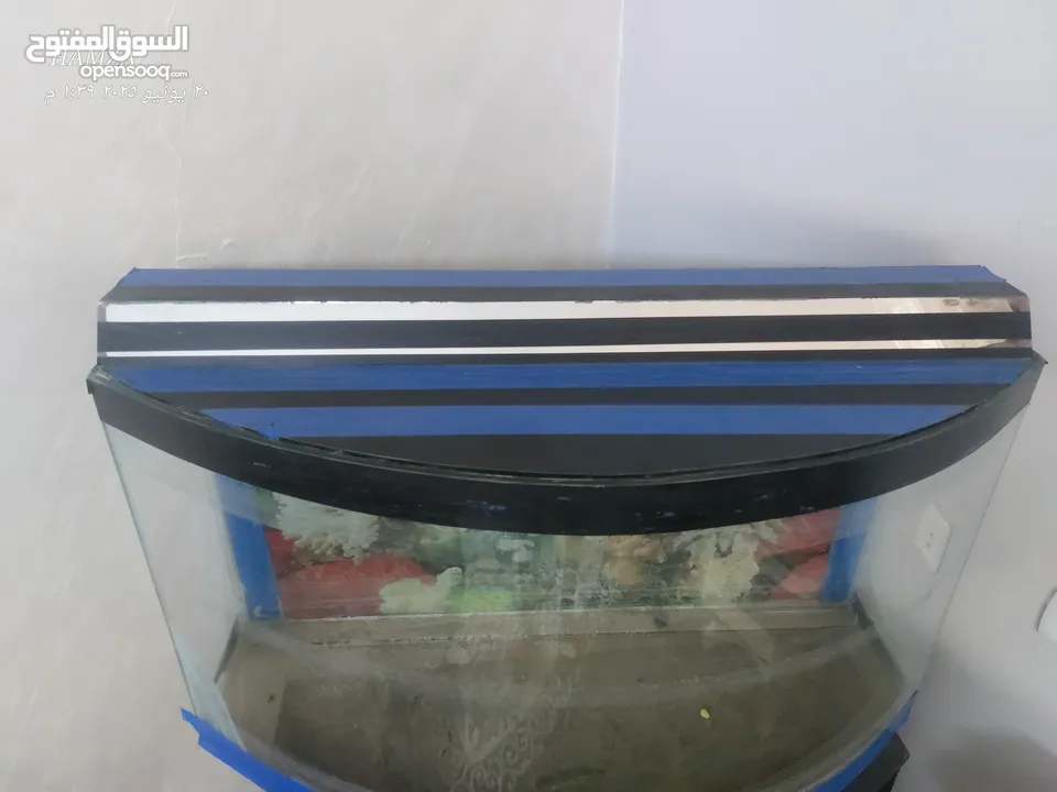 حوض سمك كبير