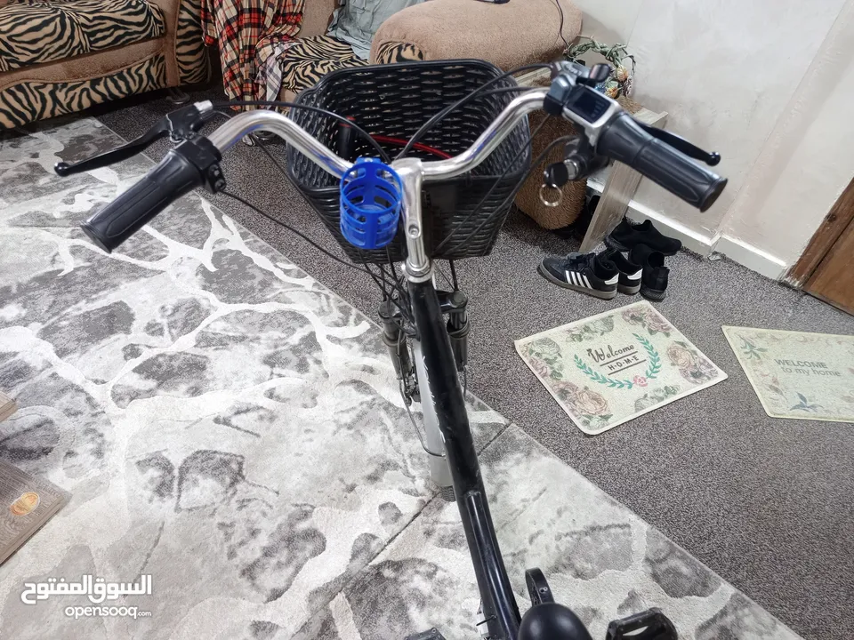بسكليت شحن