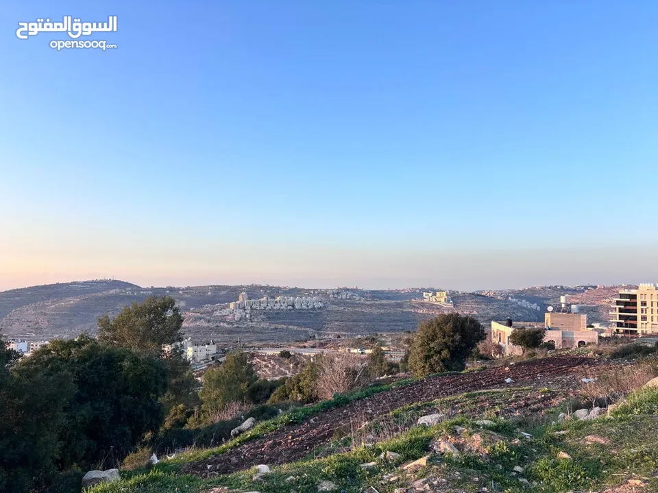 ارض طابو للبيع- رام الله-الريحان موقع مميز