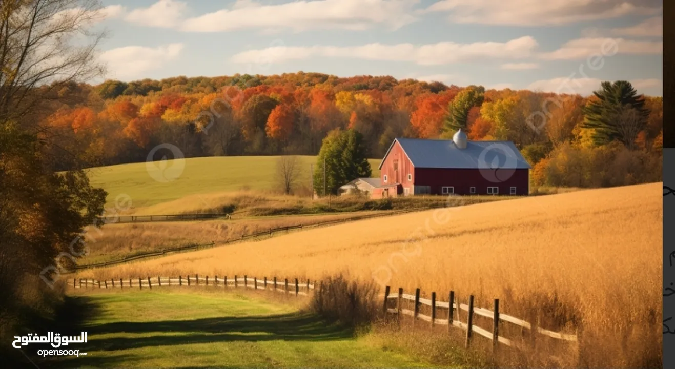 قطعة ارض في لوزا (سعر لقطة لقطة )