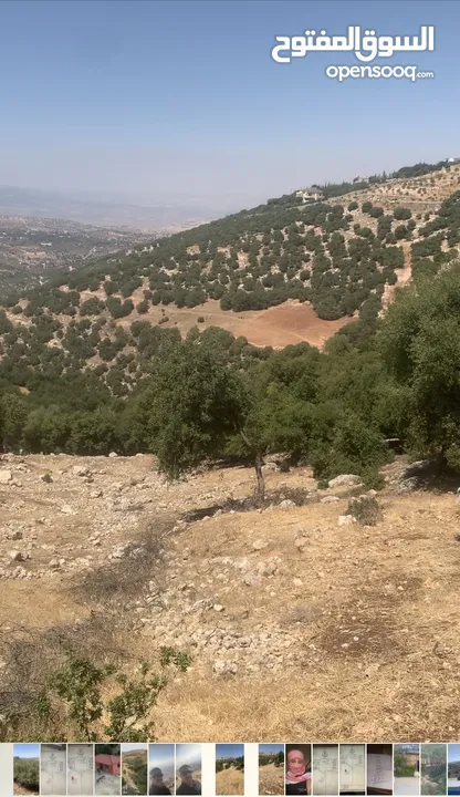قطعه ارض مميزه الزعتري السلط