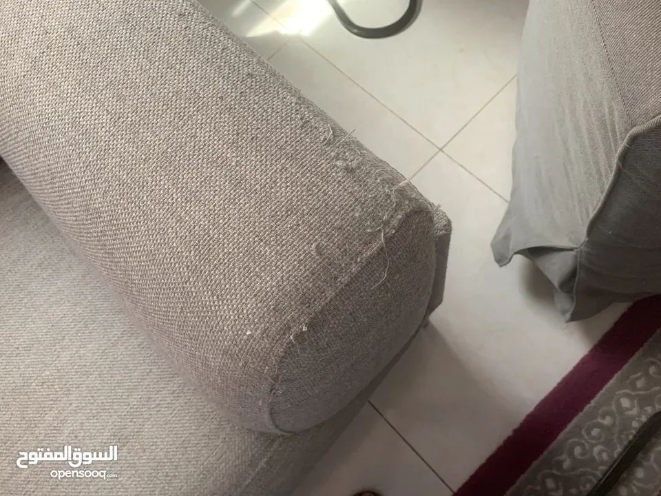 صوفات من صفاة الغانم