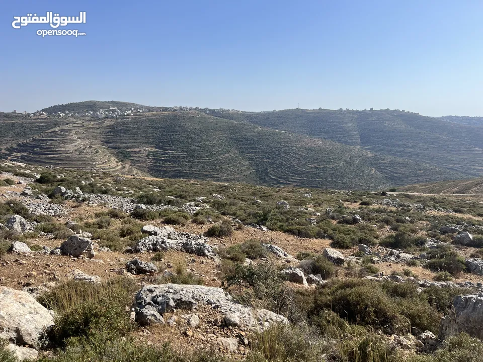 ارض مميزة للبيع في تلال عبوين وسنجل (تلال غرابة)
