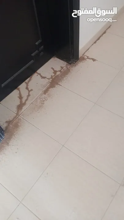 الصفوه لخدمات جلى الرخام والتلميع بكرستال وتنظيف الكنب والسجاد ورش الحشرات والتعقيم وتنظيف الفلل