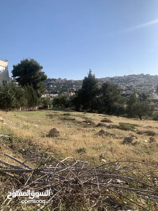 قطعه ارض مميزه في صافوط اراضي شمال عمان