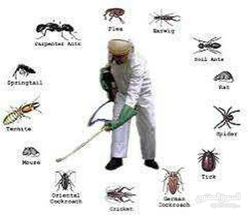 محاربة جميع  أنواع الحشرات و القوارض