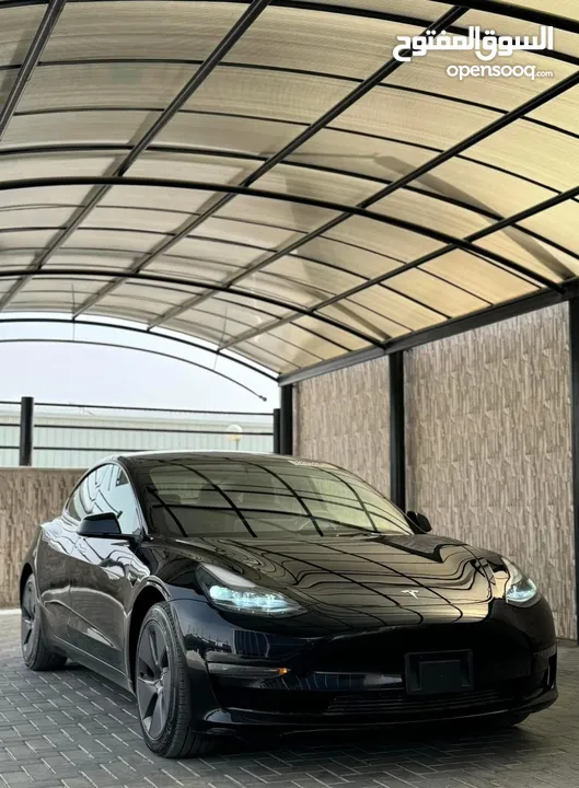 Tesla Model 3 Long Range / Standard Plus 2019/2021/2023