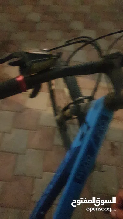 دراج للببع