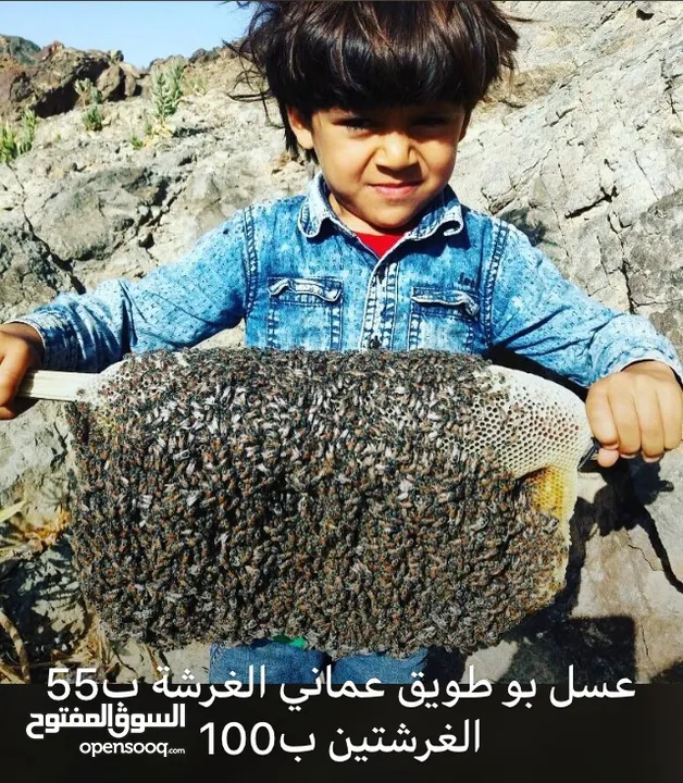 عسل سدر عماني