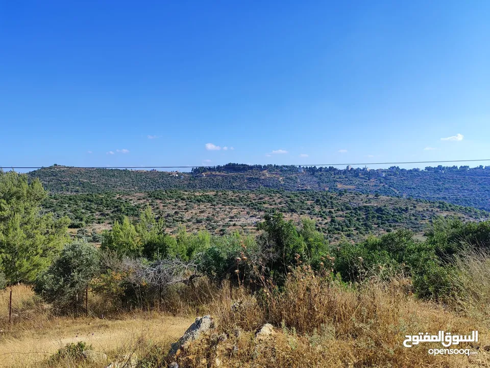 ارض في ام صفا