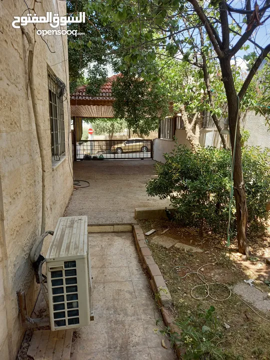 شقة ارضية مع حديقة مميزة للبيع في طبربور