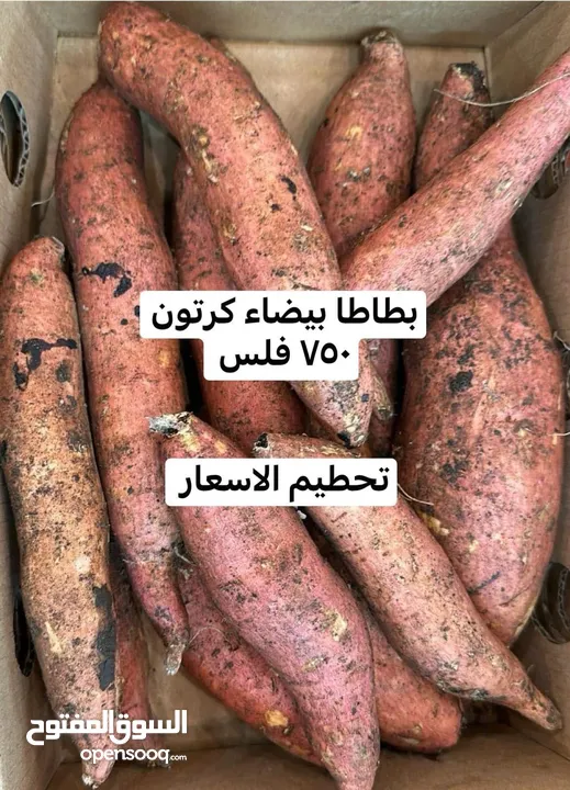 عروض  لوجي يوم الخميس والجمعه