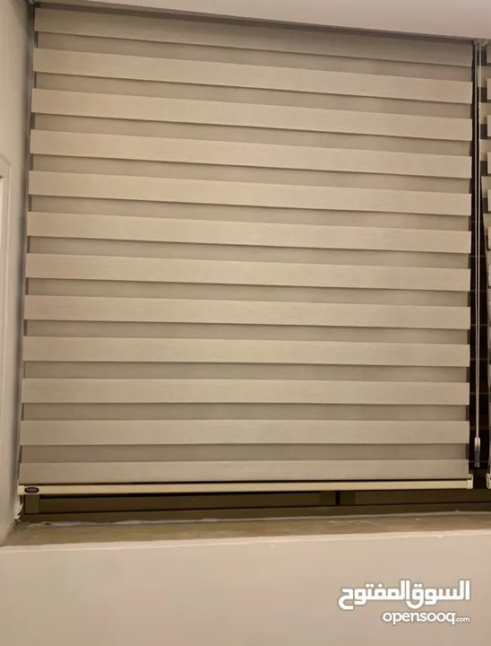 برادي رول / زيبرا للبيع