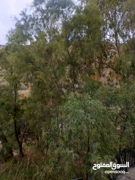 مزرعه مع 2 بيت ريفي مخدومه ماء وكهرباء مساحتها 4712