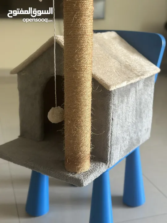 Cat play house