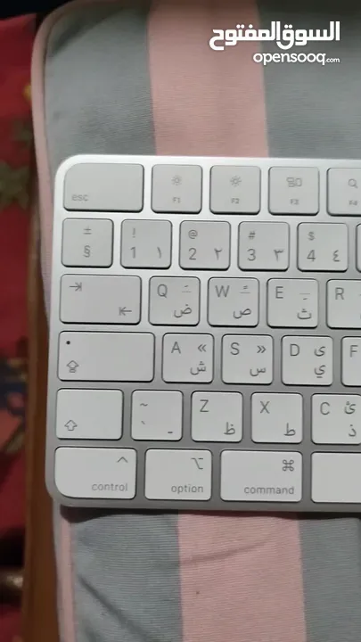 لوحة مفاتيح أبل ماجيك (Magic Keyboard) أصلية – عربية/إنجليزية + بصمة لا يوجد علبه ولا شاحنه