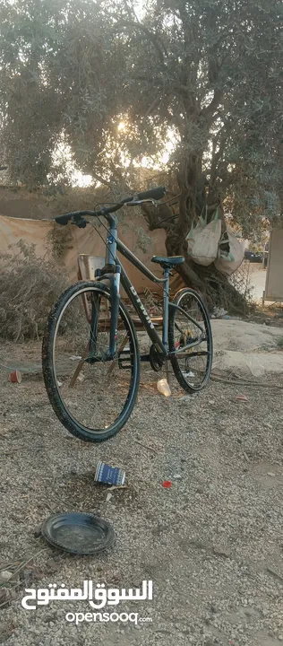 بسكليت عادي سباقات غيارات شغاله سعر﴿150﴾