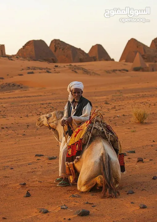 متوفر لدينا رحلات يومية من كسلا الي بورتسودان -عطبرة-الخرطوم-امدرمان -سنار - كوستي -مدني-القضارف .