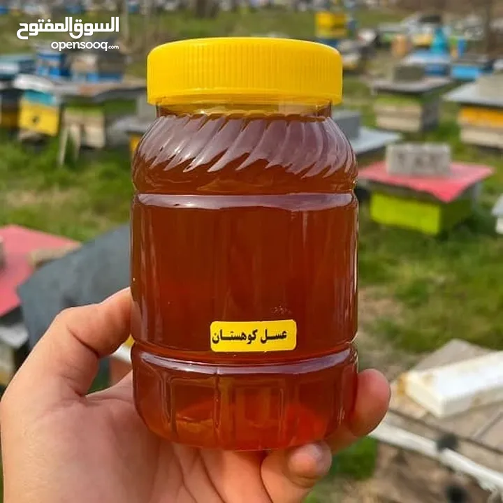 عسل جبلي إيراني أصلي 100% - غذاء ملكي طبيعي وصحي