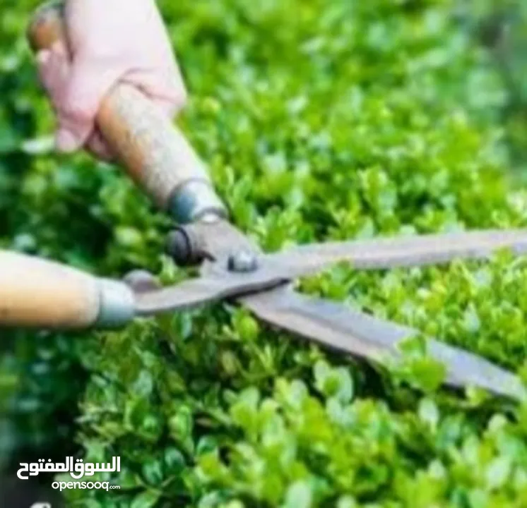 Garden repair and cleaning working service