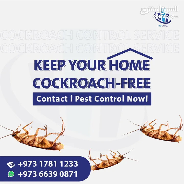 IPC Is Providing 24/7 Pest Control Service in Bahrain - Contact Now!