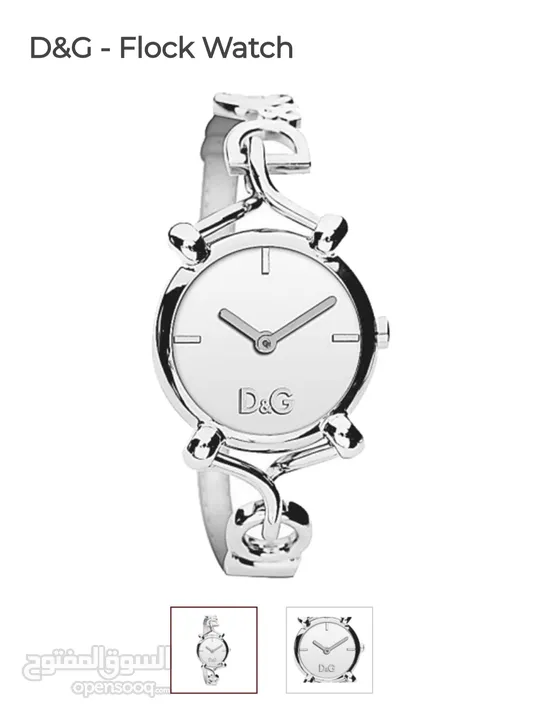 dolce and Gabbana Flock Watch