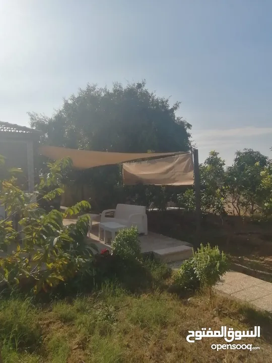 بيت مزرعة (ترخيص سكن) مزروعة شجر مثمر مع بير في منطقة الاغوار الوسطى ظهرة الرمل