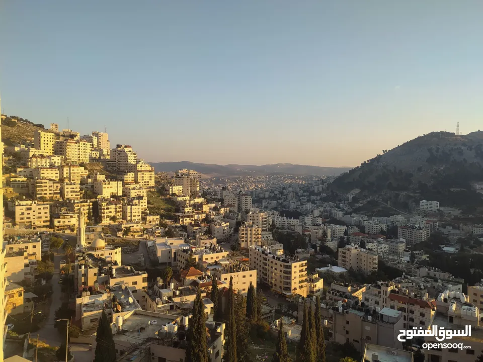 شقه مشطبه 40% ( مقصوره )