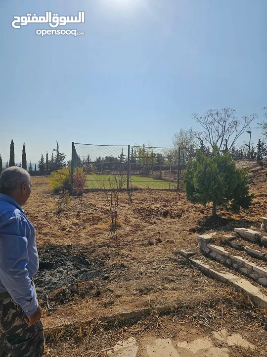 Farm for sale