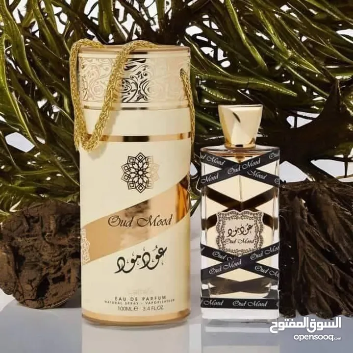 عطر عود مود