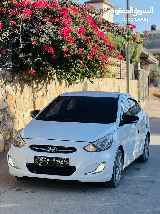 اكسنت 15/16