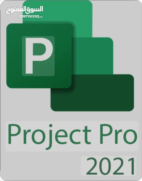 برنامج بروجكت بروفشنال  الكمبيوتر PROJECT 2021  )PROFESSIONAL) فقط ب28.99