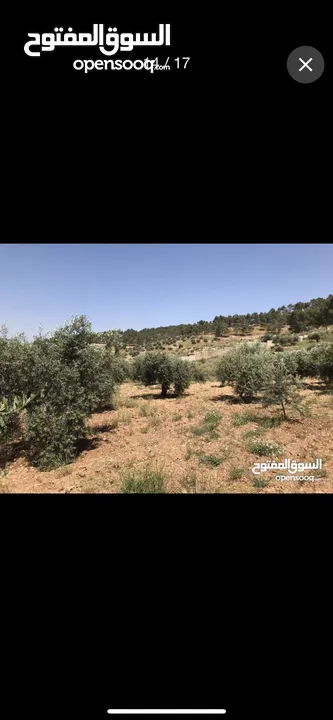 ارض للبيع في منطقه السليحي