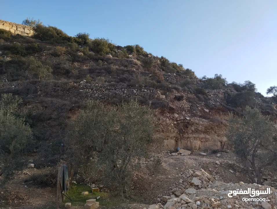 أرض للبيع للاستثمار بسعر مغري كثيييير