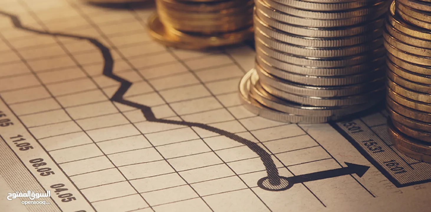 مطلوب ممول استثماري جاد لمشروع ناجح رأس المال بإسم الممول ، يوجد ضمانات